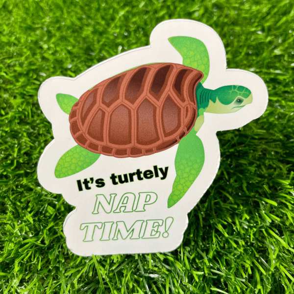 Nap Time Turtle Decal