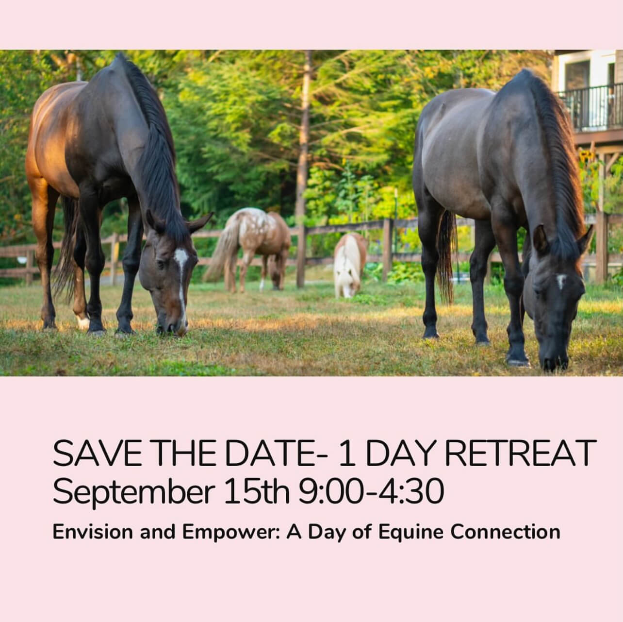 EMPOWER & ENVISION: A DAY OF EQUINE CONNECTION