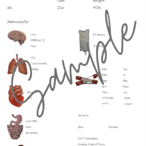 Nursing Report Sheet